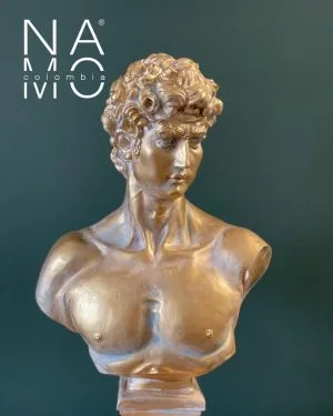 N0901 Busto David 42cm-2